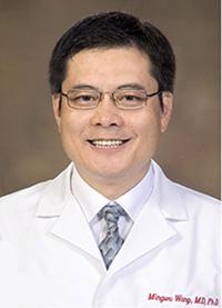 Mingwu Wang, MD
