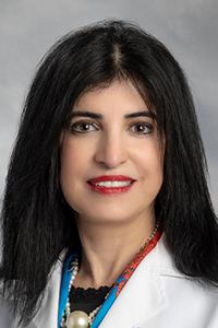 Dr. Nesrene A Ghani MD Dearborn MI Internal Medicine