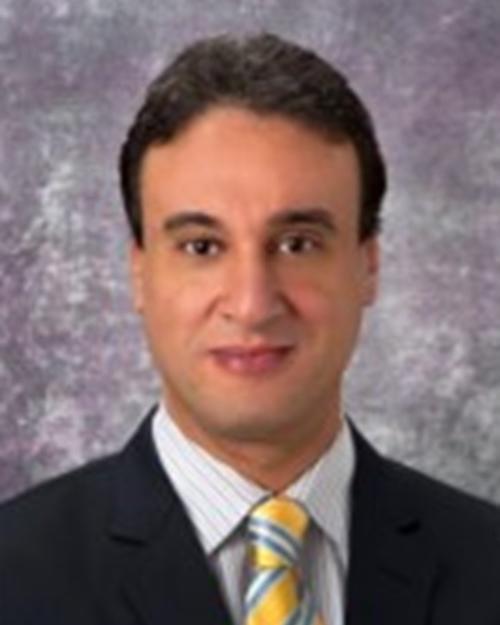 Wael M. A. Kawy Abdalla