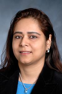 Rubina Dilaik visual data 3