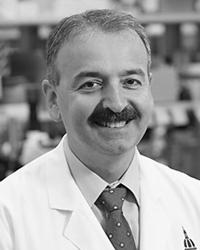 Ahmet Hoke, MD, PhD
