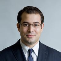 Alexander G Marneros