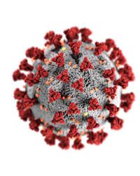 COVID-19 Information