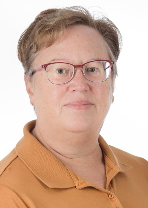 Diane G Ryan, OT