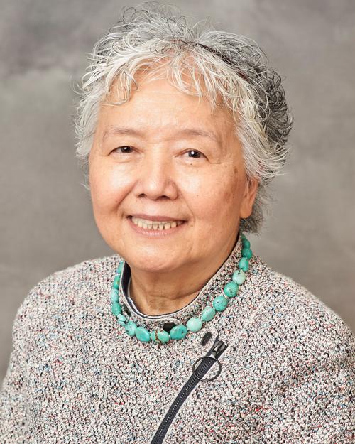 Photo of Nan-Shing Hsu, MD, MTE, MS