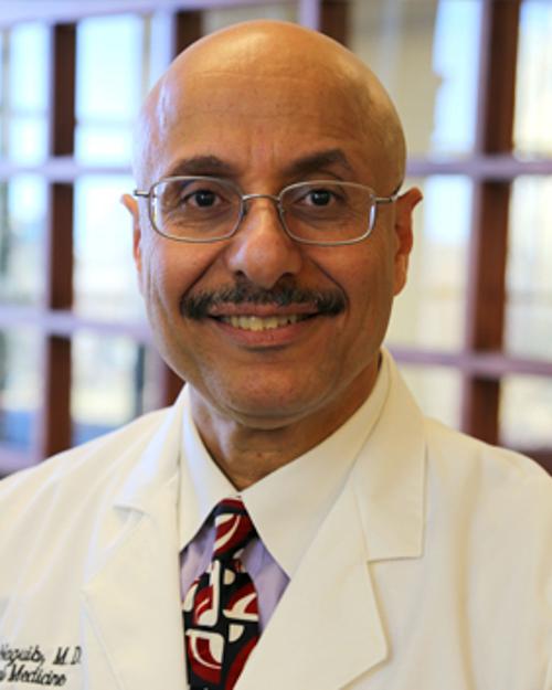 Tarek Naguib