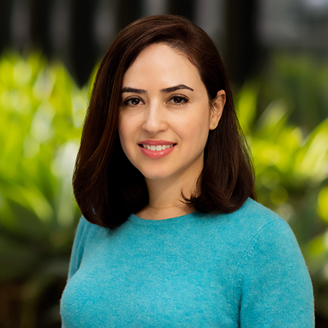 Elham Vosoughi